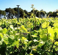 Basalt Wines - Accommodation in Bendigo