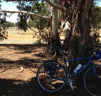 Murchison Rail Trail - Accommodation in Bendigo