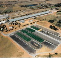 Co-operative Bulk Handling CBH Wheat Storage and Transfer Depot - Accommodation in Bendigo