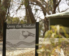 Coolamon NSW Accommodation in Bendigo