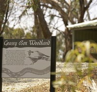 Kindra Forest - Accommodation in Bendigo