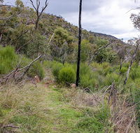 Lynchs loop trail - Accommodation in Bendigo