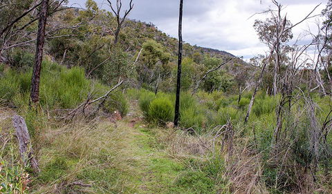 Lynchs Loop Trail - Accommodation in Bendigo 0