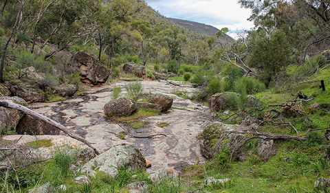 Lynchs Loop Trail - Accommodation in Bendigo 1