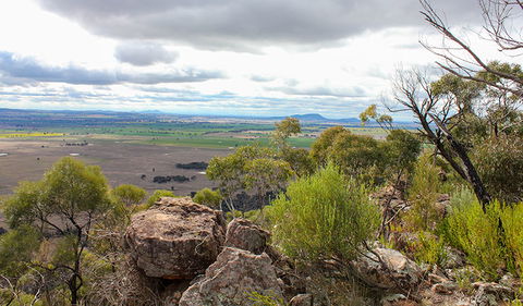 Lynchs Loop Trail - Accommodation in Bendigo 3