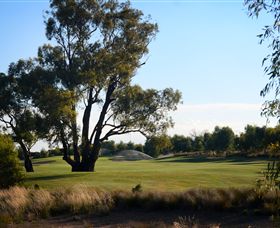 Black Bull Golf Club - Accommodation in Bendigo 2