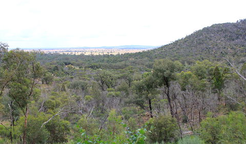 Ben Hall's Cave Walking Track - Accommodation in Bendigo 0