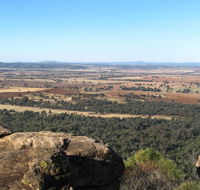 Basin Gully to Eualdrie lookout track - Accommodation in Bendigo
