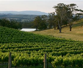 Granite Hills Winery - Accommodation in Bendigo 0