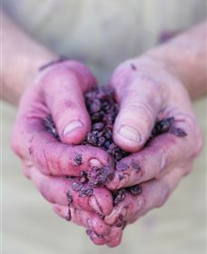 Granite Hills Winery - Accommodation in Bendigo 3