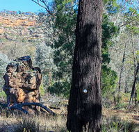 Eualdrie walking track - Accommodation in Bendigo