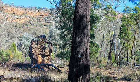 Eualdrie Walking Track - Accommodation in Bendigo 0