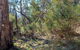 Eualdrie Walking Track - thumb 1