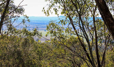 Eualdrie Walking Track - Accommodation in Bendigo 2