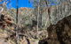 Eualdrie Walking Track - thumb 3