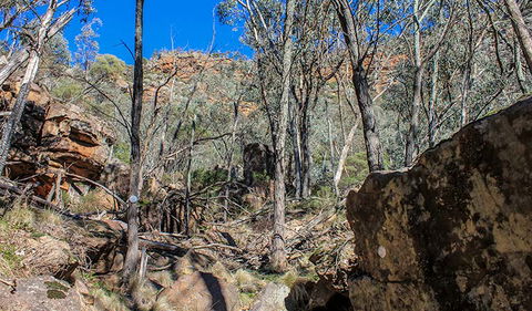 Eualdrie Walking Track - Accommodation in Bendigo 3