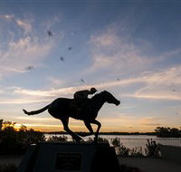 Black Caviar Statue - Accommodation in Bendigo