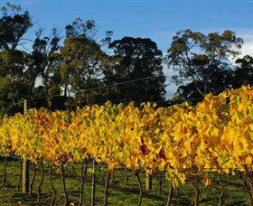 Paramoor Winery - Accommodation in Bendigo 3