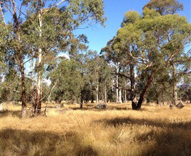 Paramoor Winery - Accommodation in Bendigo 4