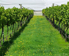 Paramoor Winery - Accommodation in Bendigo 6