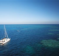 Bait Reef and Garys Lagoon Dive Site - Accommodation in Bendigo