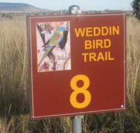 Weddin Bird Trails - Accommodation in Bendigo
