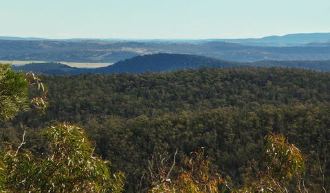 Conimbla National Park - Accommodation in Bendigo 1