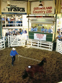 Gracemere Exhibition Complex - Accommodation in Bendigo 0