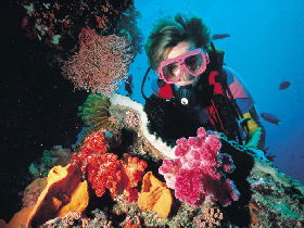 Great Barrier Reef - Whitsundays - Accommodation in Bendigo 1