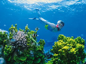 Great Barrier Reef - Whitsundays - Accommodation in Bendigo 3