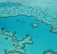 Heart Reef - Accommodation in Bendigo