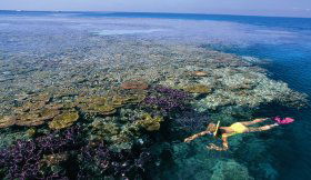 Hardy Reef - Accommodation in Bendigo 1