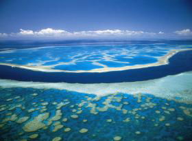 Hardy Reef - Accommodation in Bendigo 0
