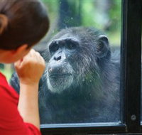 The Rockhampton Zoo - Accommodation in Bendigo