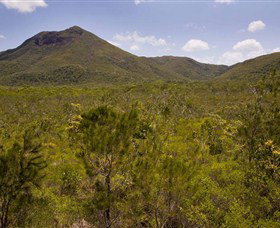 Kutini-Payamu (Iron Range) National Park (CYPAL) - Accommodation in Bendigo 0