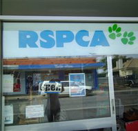R.S.P.C.A Opportunity Shop - Accommodation in Bendigo