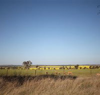 Cootamundra Bird Walk