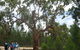Koorilgur Nature Reserve - thumb 0