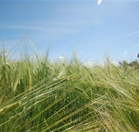 150 Degrees East Meridian - Accommodation in Bendigo