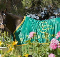 Living Legends The International Home of Rest for Champion Horses - Accommodation in Bendigo