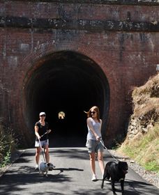 Cheviot Tunnel - Accommodation in Bendigo 0