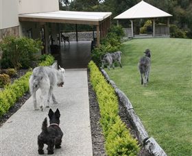 Otway Estate - Accommodation in Bendigo 5