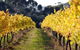 Otway Estate - thumb 6