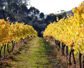 Otway Estate - Accommodation in Bendigo 6