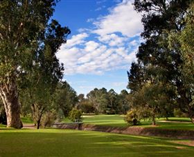Commercial Golf Course - Accommodation in Bendigo 0