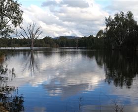 Wonga Wetlands - Accommodation in Bendigo 1
