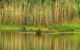 Wonga Wetlands - thumb 2