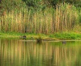 Wonga Wetlands - Accommodation in Bendigo 2