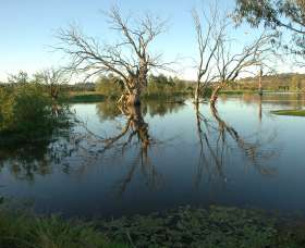 Wonga Wetlands - Accommodation in Bendigo 4