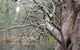 Wonga Wetlands - thumb 3